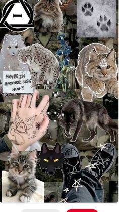 a collage of different pictures with cats and dogs on them, including one cat's paw