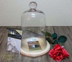 a rose sits under a glass clochet on a wooden table next to some scissors