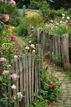 a wooden fence surrounded by lots of flowers