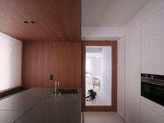 a black cat sitting on top of a counter in a kitchen