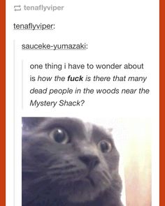 a cat is looking up at the camera with caption that reads,'i have to wonder about how many people in the woods hear the mystery shack? '