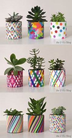 several different types of potted plants with colorful designs on them, all in different shapes and sizes