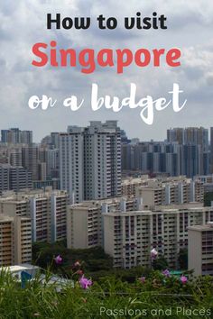 the city skyline with text overlaying how to visit singapore on a budget