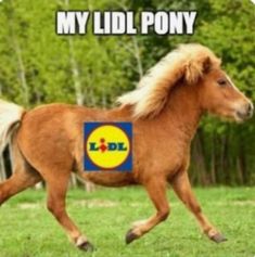 a brown horse running across a field with the caption, my lidl pony