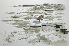 a drawing of a fox in the snow looking for food or water to drink from