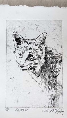 a black and white drawing of a fox