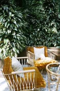 two chairs and a table in front of some plants with pillows on them, sitting next to each other