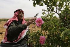 a man sitting in a chair holding a knife and fork next to a bush with pink flowers