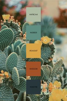 the color scheme for this cactus plant is blue, yellow and green with orange accents