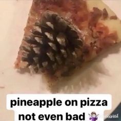 a piece of pizza with pineapple on it