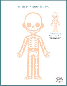 the skeletal skeleton is shown in an orange and white frame with text below it that reads,