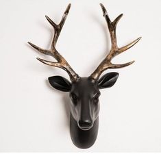 a deer head mounted to the side of a wall