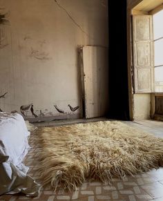 a large furry rug is on the floor in front of an open door and window