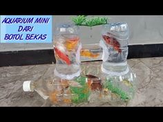 two plastic bottles filled with water and goldfish