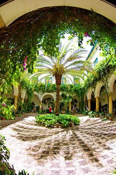 a courtyard with palm trees and greenery in the middle is seen through an arched window