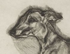 a black and white drawing of a dog's head with its eyes closed, looking to the left