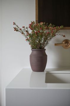 a potted plant sitting on top of a white counter