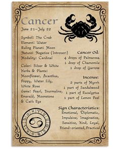 Knowledge Poster, Zodiac Wheel, Wiccan Magic, Wiccan Spell Book, Witchcraft Spell Books, Zodiac Traits, Zodiac Signs Horoscope, Witchy Things, Vibrant Artwork