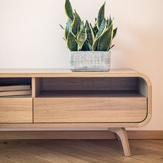 a potted plant sitting on top of a wooden shelf next to a tv stand