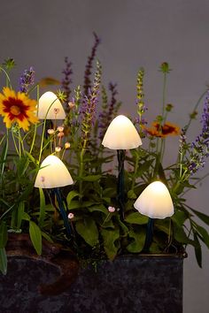 a group of white lights sitting on top of a planter filled with flowers and plants