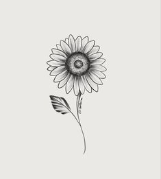 a black and white drawing of a sunflower