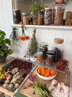 various herbs and flowers are on display in glass jars, along with other items from the garden