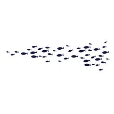 a flock of fish swimming in the ocean