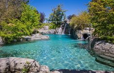 an outdoor swimming pool surrounded by trees and water features a waterfall, rock formations, and clear blue skies