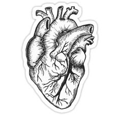 the human heart sticker is shown in black and white, with an ink drawing effect