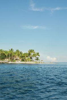 an island in the middle of the ocean with palm trees on it's sides