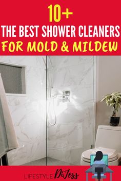 the best shower cleaner for mold and mildew Shower Cleaner For Mold, Best Shower Cleaner, College Advice