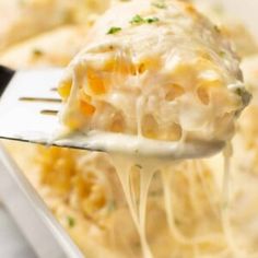 a fork full of pasta and cheese being lifted from a casserole dish with melted cheese