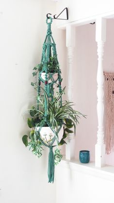 there is a plant hanging on the wall