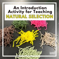 an instruction activity for teaching natural selection with pictures of different types of worms on the table