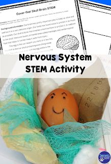 Nervous System Projects, Human Body Homeschool, Brain Notes, Nervous System Activities, Life Science Activities