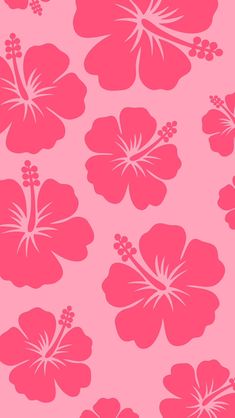 a pink flower on a pink background