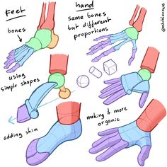 how to draw hands with different shapes and sizes