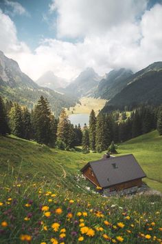 a small house in the middle of a field with flowers and mountains in the background