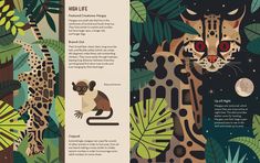 an open book with illustrations of animals and plants