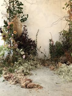 an abandoned room with flowers and vines growing on the walls, in front of a white wall