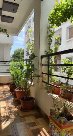 some plants are growing in pots on the outside of a building's balcony area