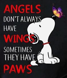 a white dog with a purple butterfly on it's head and the words, angels don't always have wings sometimes they have paws