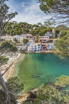 the water is green and clear with many houses on it's sides, surrounded by trees