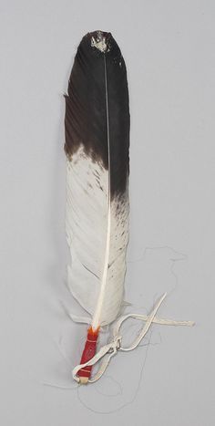 a white and black feather with a red hook