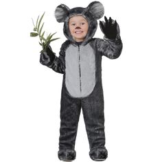 a little boy in a koala costume holding an olive branch and wearing it as a hat