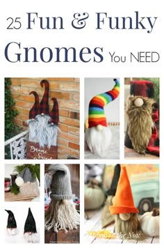 the 25 fun and funky gnomes you need