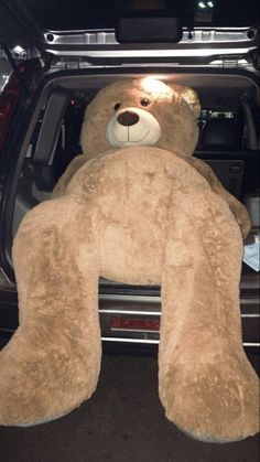 a large brown teddy bear sitting in the trunk of a car