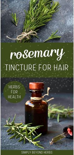 Discover the benefits of Rosemary Tincture for Hair in our Herbs for Health & Healthy Herbs section. Rosemary is renowned for its positive effects on hair health, and this tincture is an easy way to incorporate those benefits into your daily routine. Perfect for those interested in natural health and DIY hair care. Explore more natural remedies and healthy herb recipes at simplybeyondherbs.com. Rosemary Uses, Rosemary Tincture, Uses For Rosemary, Benefits Of Rosemary, Cold And Cough Remedies, Healthy Herbs, Herb Recipes