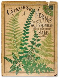 an old book with green leaves on it