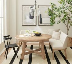 a dining room table with two chairs and a potted plant in the corner next to it